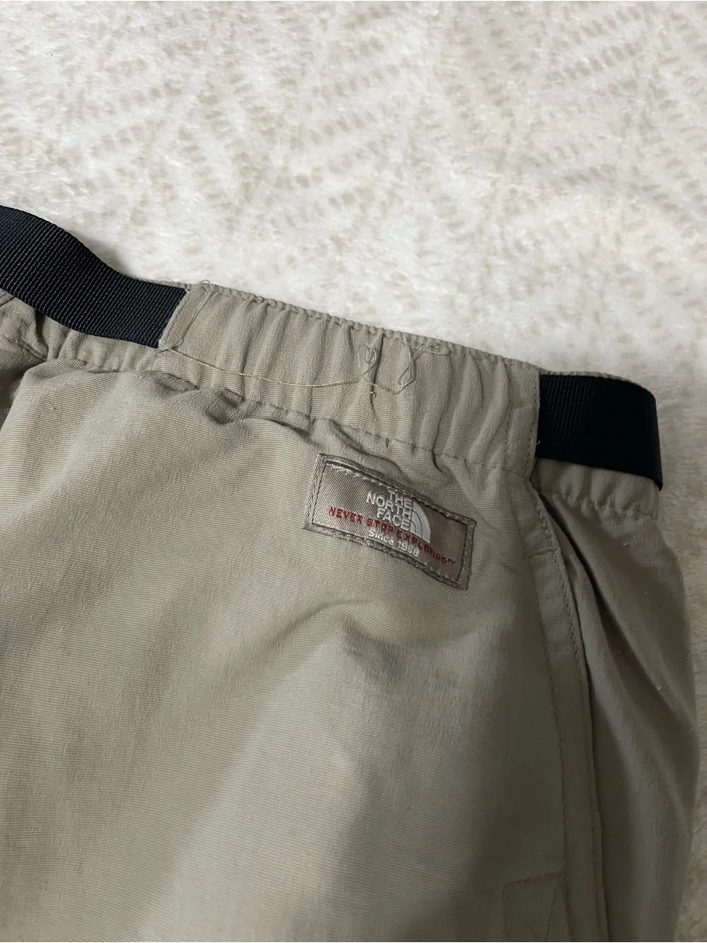 Men's Cargo Shorts in Light Olive with Built-In Belt the North Face Medium